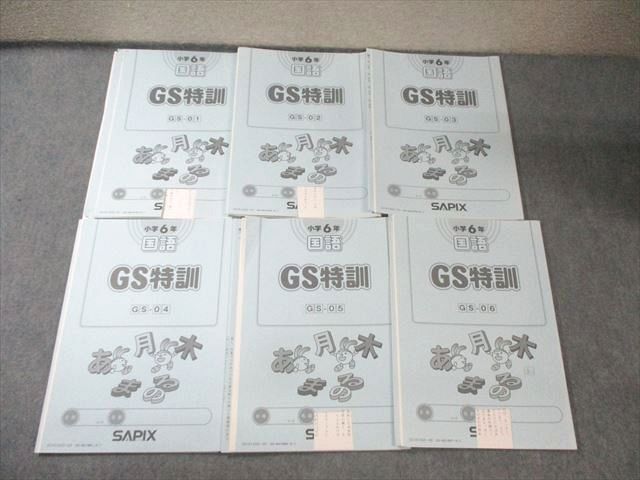 SAPIX 小6 GS特訓 国語(GS-01～06) 【計6回分】 2021 025m2D