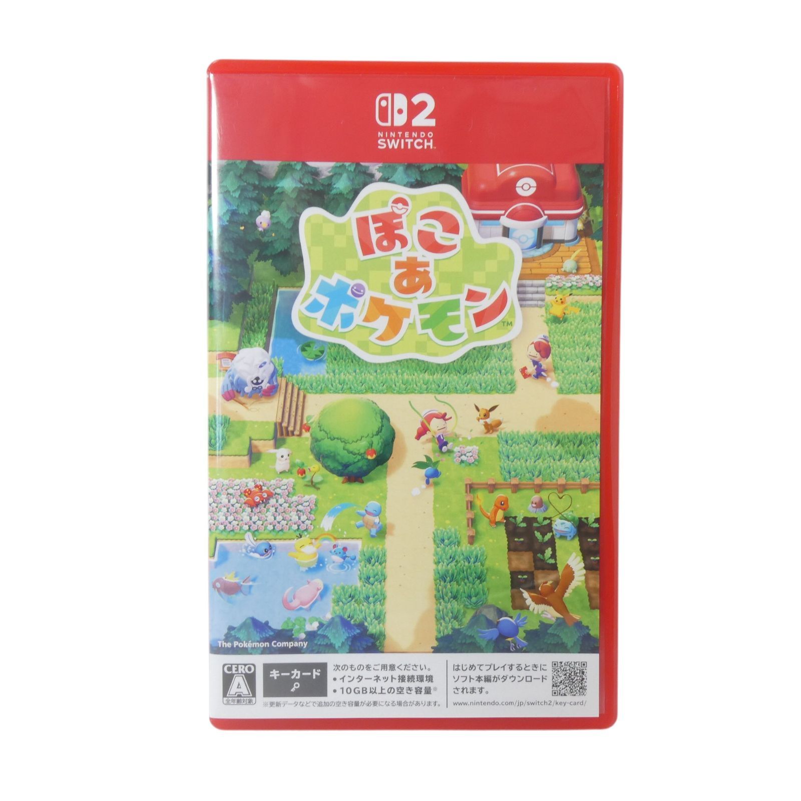 極美品 ぽこ あ ポケモン ポコアポコ Poco a Poco Switch2 ソフト 動作確認済み ポケモン