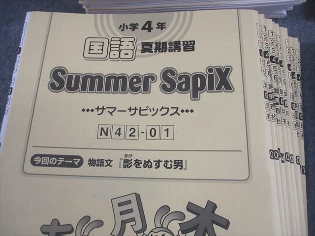 SAPIX 国語 サピックス 小4 小学4年 デイリー⁄スプリング⁄サマー 計95