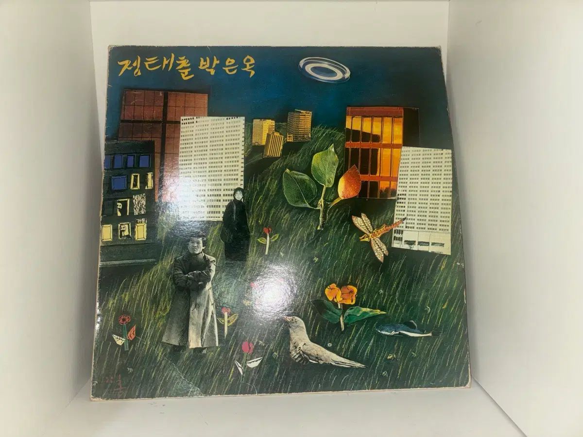 チョン・テチュン パク・ウンオク 2 家 LP