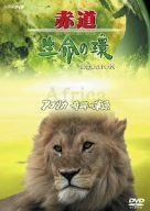 赤道 生命の環 アフリカ 奇跡の草原 [DVD]