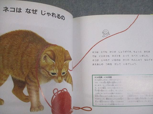 家庭保育園/日本学校図書 なぜなにブック1〜22巻 どうぶつ/さかな/とり/むし 等 状態良い多数 2012 計22冊 ★ 260L4D 家庭保育園/日本学校図書 なぜなにブック1～22巻 どうぶつ/さかな/とり