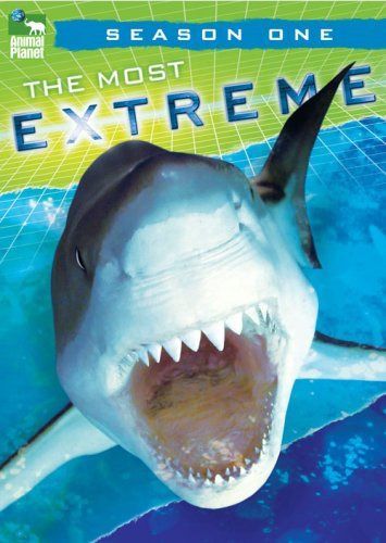 Most Extreme: Season One [DVD]