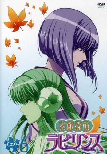 素敵探偵ラビリンス Case.6 [DVD]