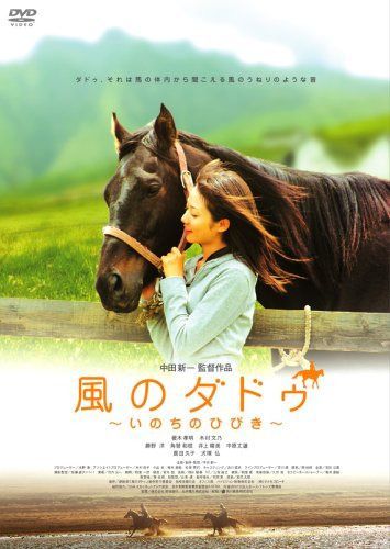 風のダドゥ ~いのちのひびき~ [DVD]
