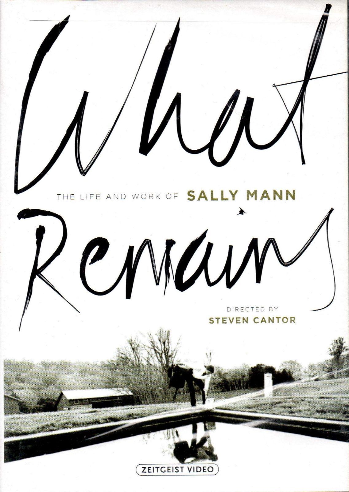 What Remains: The Life & Work of Sally Mann (Ws) [DVD] [Import]