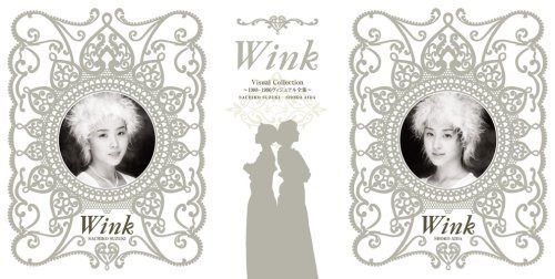 WINKVisual Collection~1988-1996 ヴィジュアル全集~ [DVD]