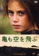 亀も空を飛ぶ [DVD]