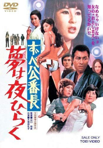 ずべ公番長 夢は夜ひらく [DVD]