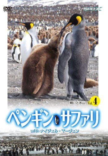 ペンギン・サファリ with ナイジェル・マーヴェン Vol.4 [DVD]