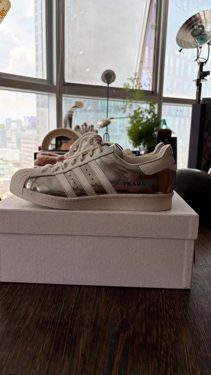 PRADA アディダス SuperStar 275