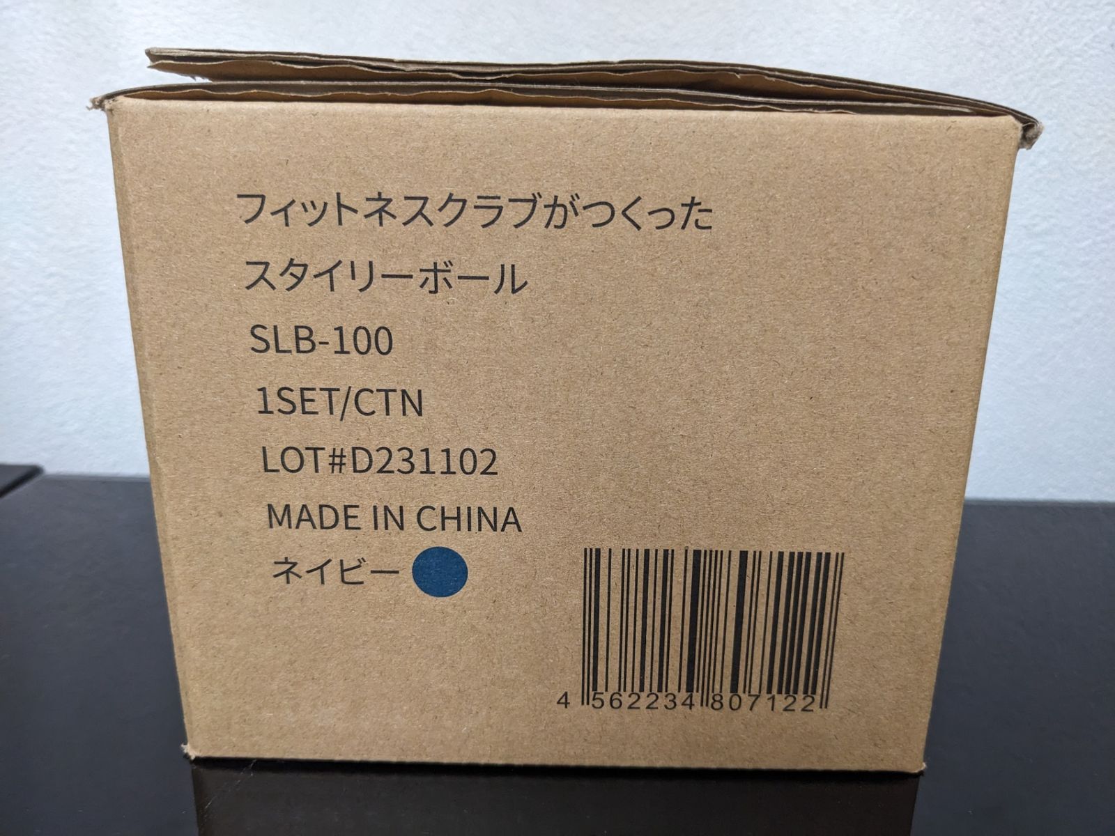 Oasis◇フィットネスクラブがつくったスタイリーボール SLB-100