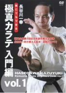 誰にでもできる 極真カラテ 入門編 vol.1 [DVD]