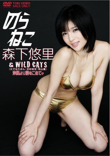 のらねこ 森下悠里 & WILD CAT’S/かでなれおん・中村知世・秋山優 沖縄より愛をこめて [DVD]