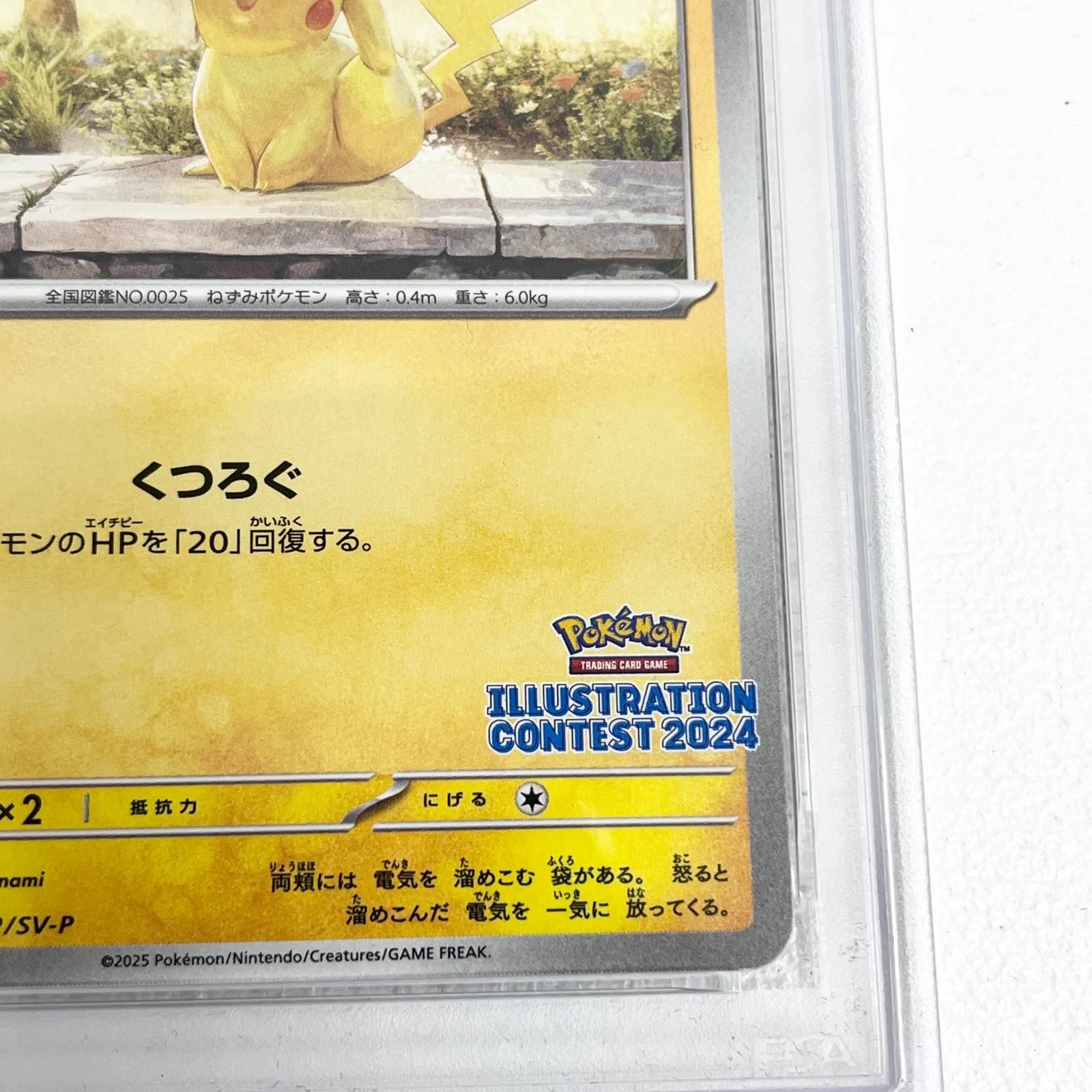 【加古川店】 中古 トレーディングカード ピカチュウ 242/SV-P プロモ PSA10 serial:136143762 ポケモンカード ポケカ 【362】