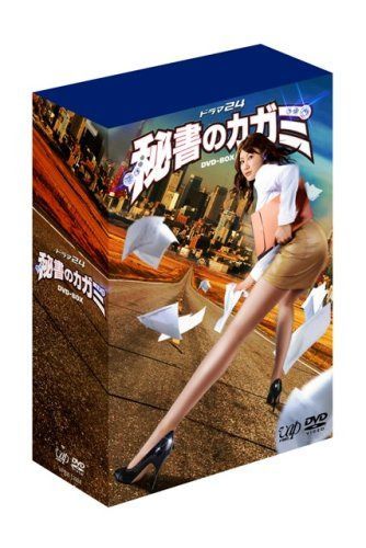 ドラマ24 秘書のカガミ DVD-BOX 19,822円