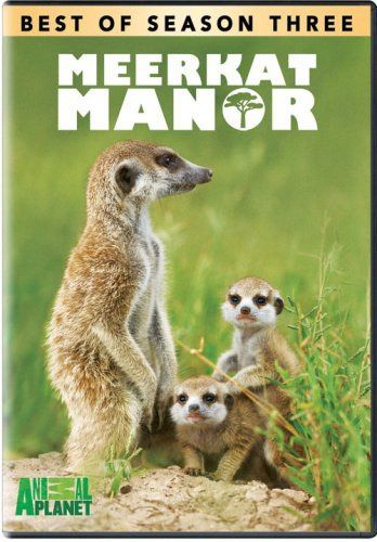 Meerkat Manor: Best of Season 3 [DVD]
