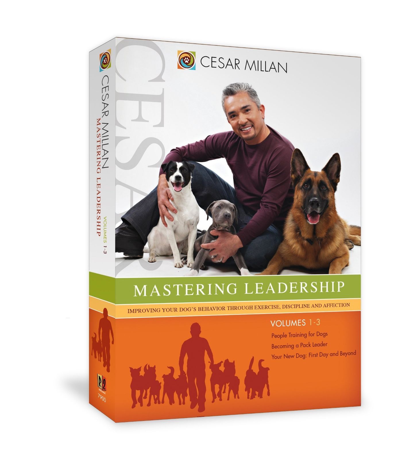 Mastering Leadership [DVD]