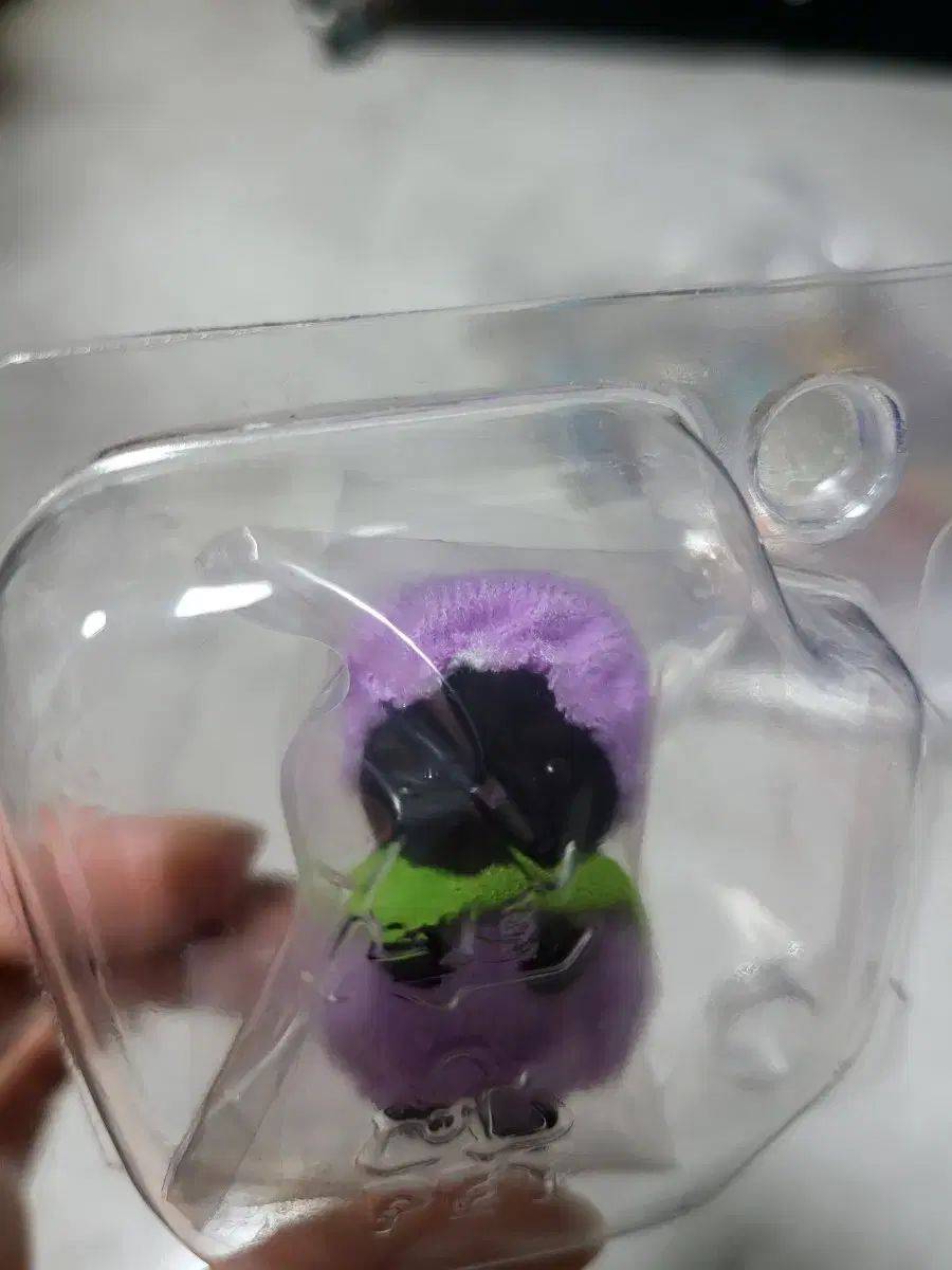 シルバニアファミリー フルーツパーティー ブルーベリー 黒猫 未開封品