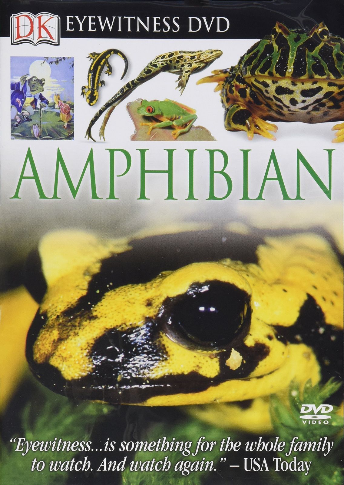 Amphibian [DVD]