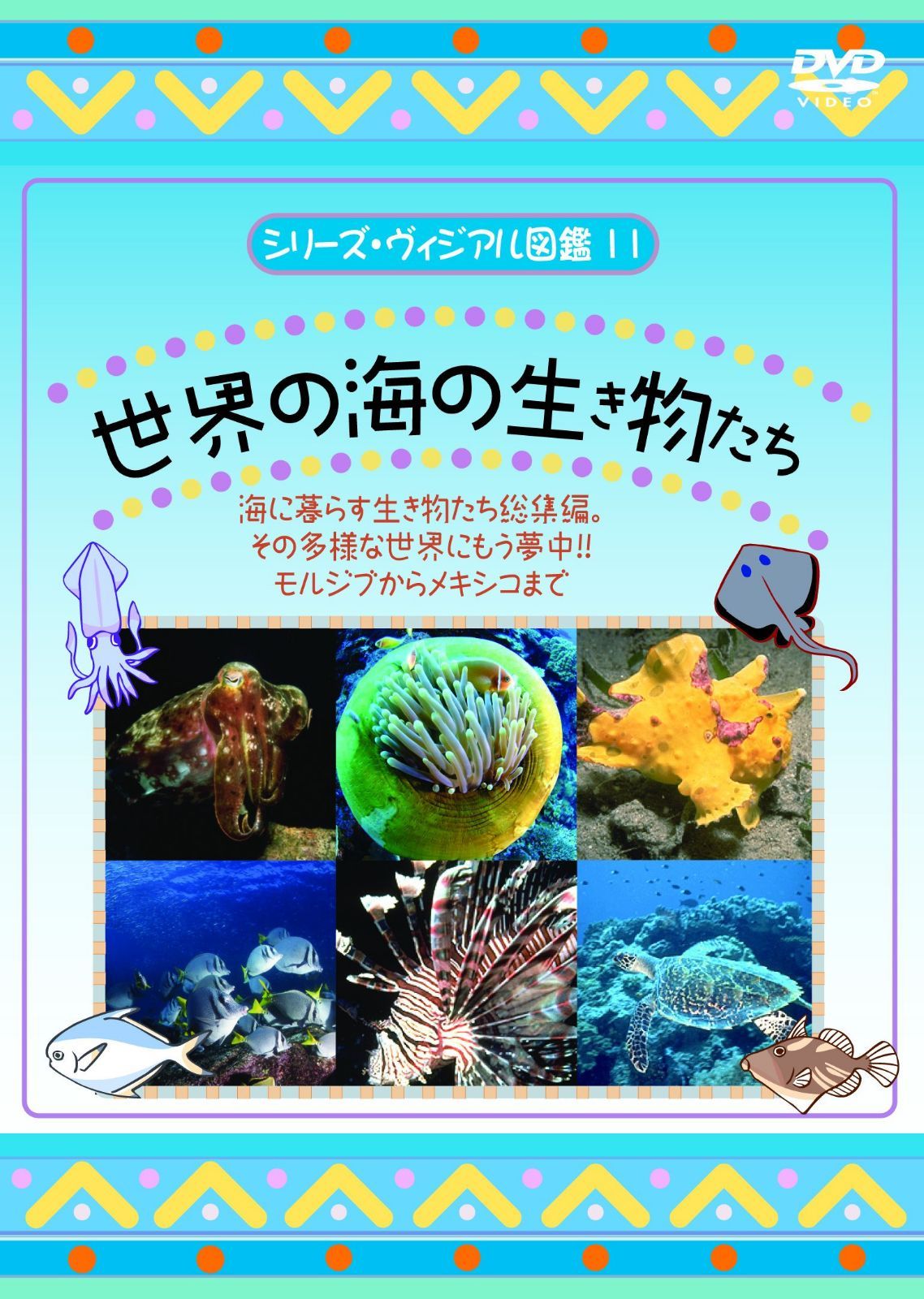 世界の海の生き物たち [DVD]