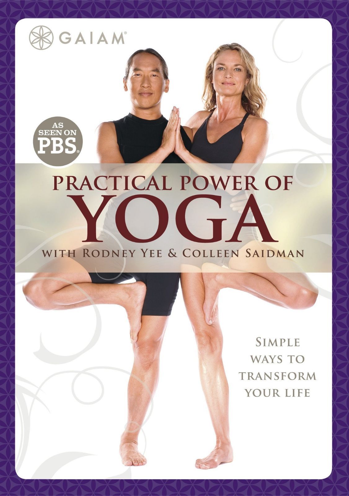 Practical Power of Yoga [DVD]