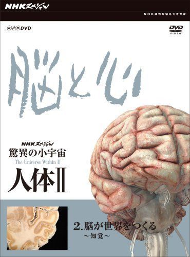 NHKスペシャル 驚異の小宇宙 人体II 脳と心 第2集 脳が世界をつくる~知覚~ [DVD]