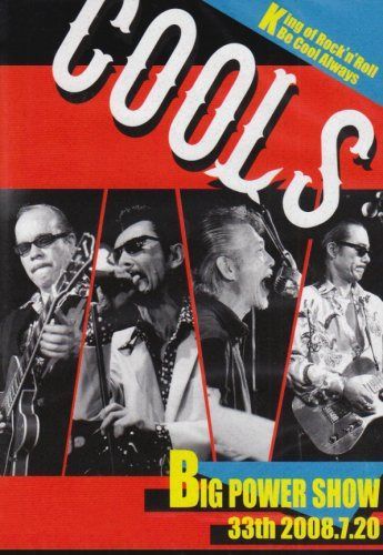 BIG POWER SHOW 33th 2008.7.20 [DVD]
