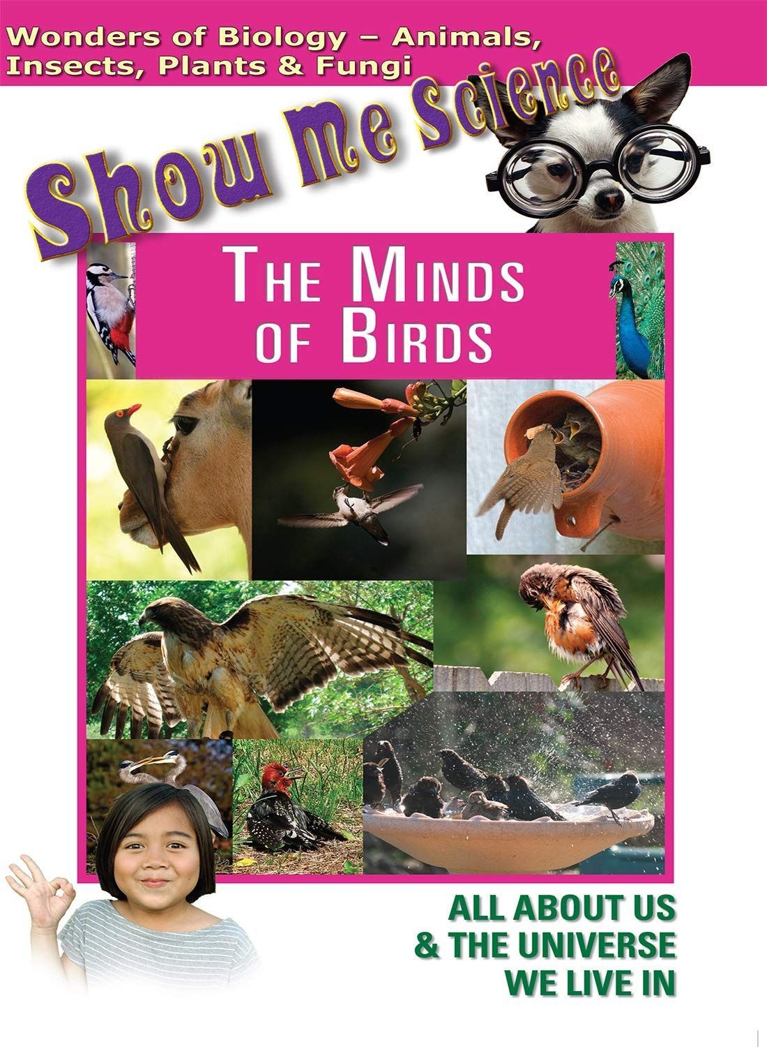 Minds of Birds [DVD]