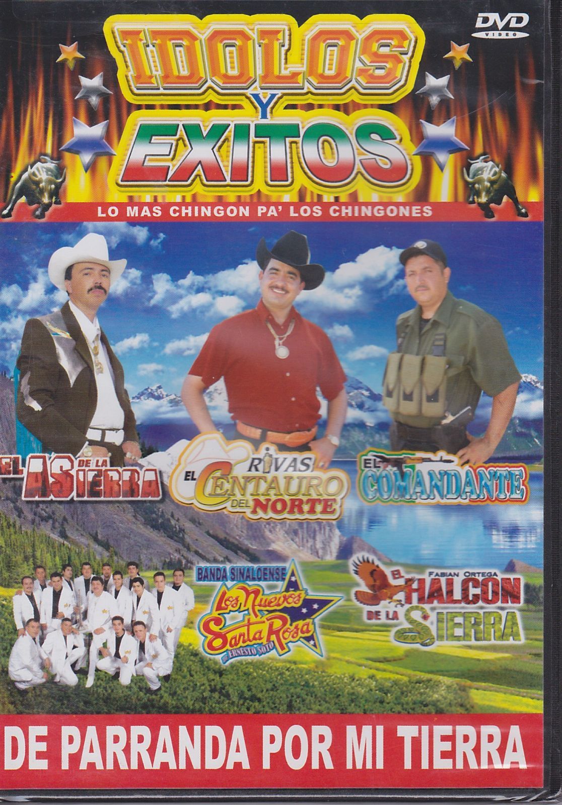 Idolos Y Exitos 1 [DVD]