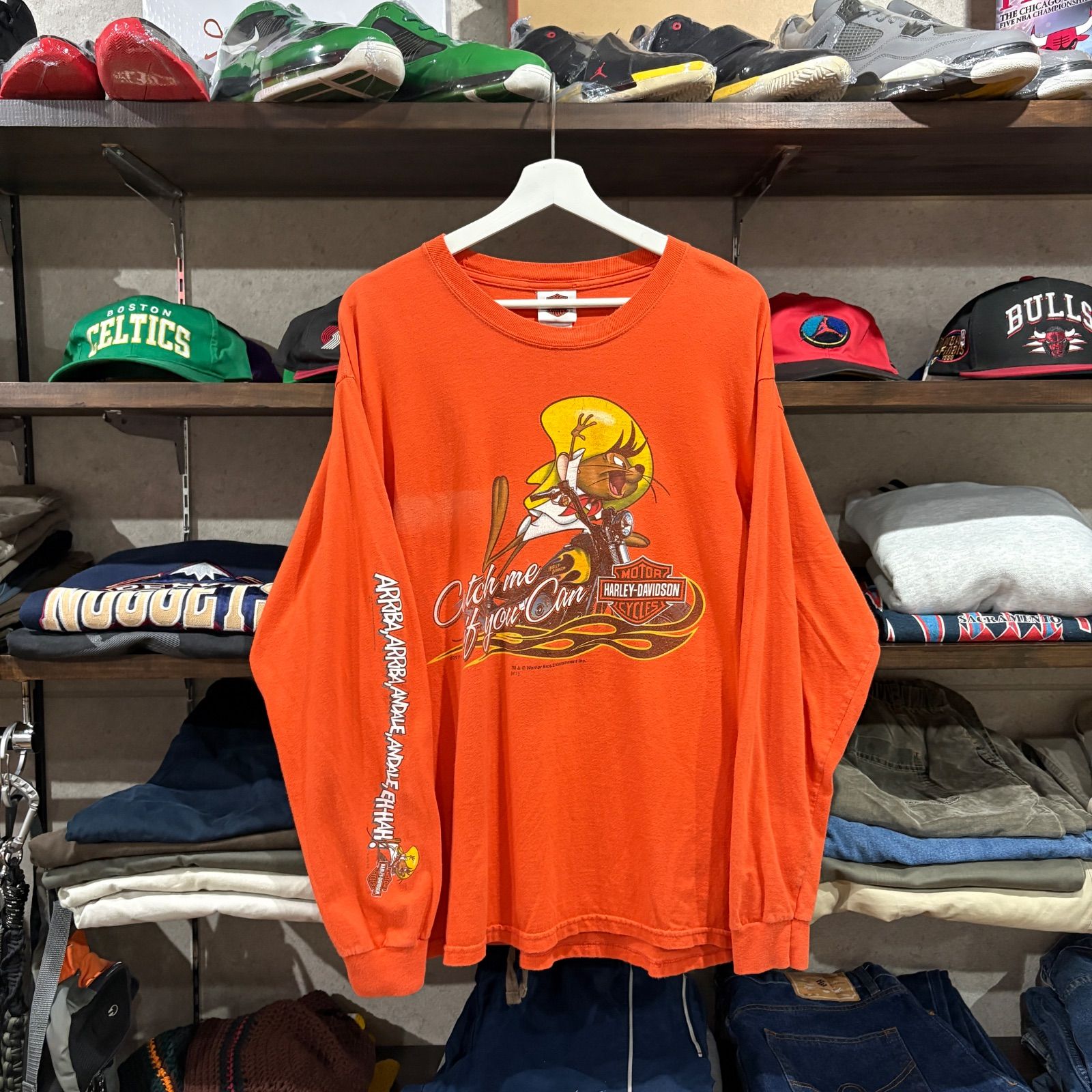 【2011 / Harley-Davidson × Warner Bros. / Long Sleeve T-Shirt / L】