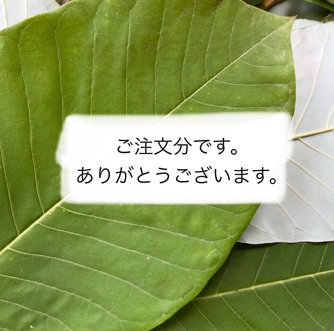 さくら様ご注文分です。