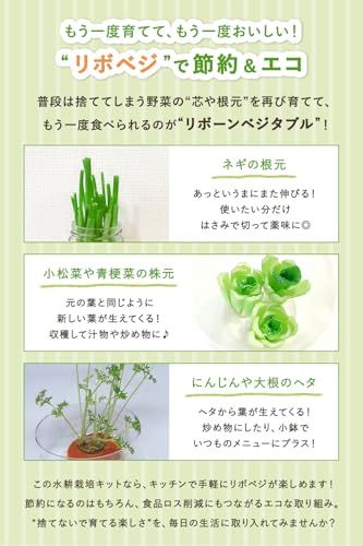 ☆新品☆[MRG] 水耕栽培キット 12株同時栽培 LED植物育成ライト・自動水循環 室内 家庭菜園セット 高さ調整 タイマー搭載 ハーブ 野菜栽培 土不要 育苗 食育にも(01.ブラック) ea9f3ed3