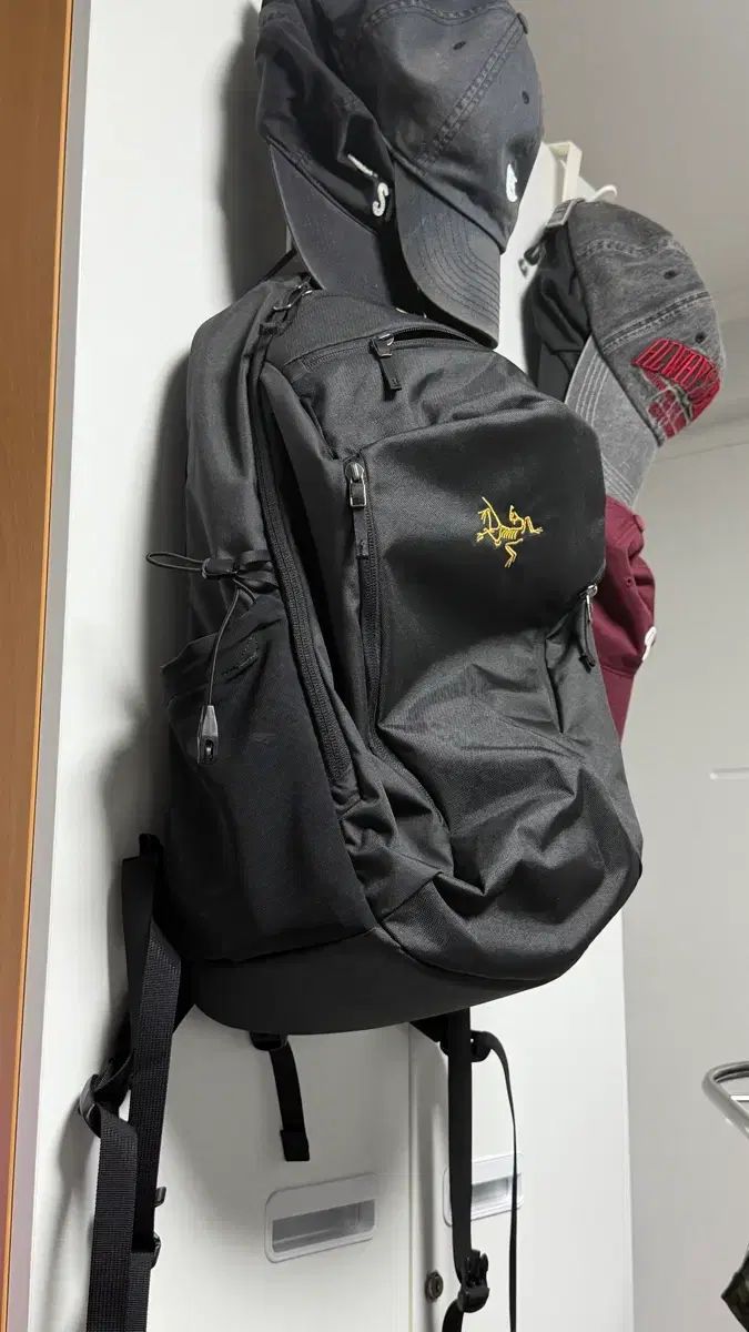 ARC'TERYX アークテリクス マンティス バックパック