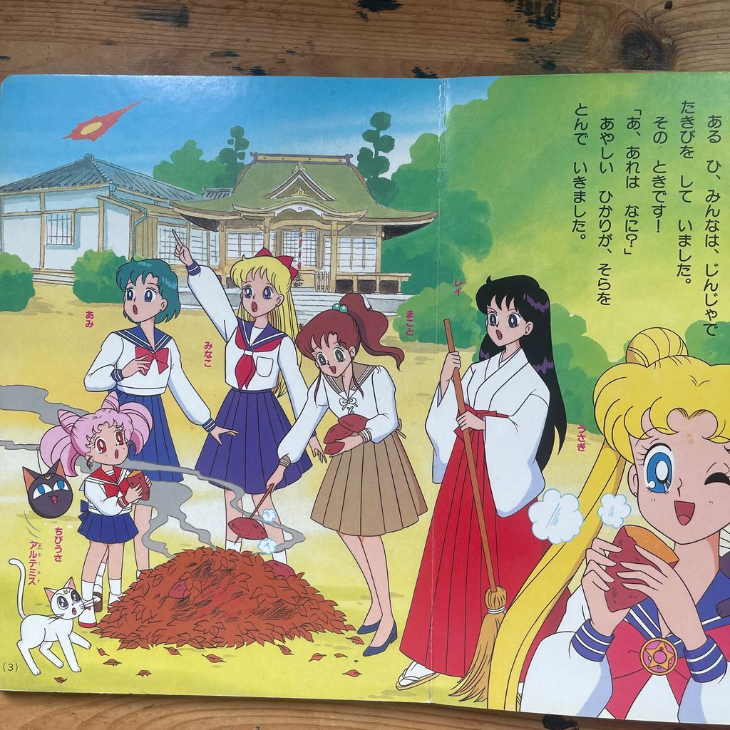 講談社テレビ絵本 美少女戦士セーラームーンR 17 たいけつ！あやかしの