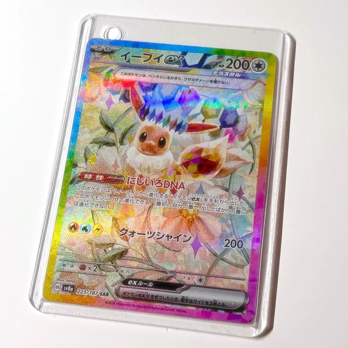 ポケットモンスターカード テラスタル イーブイ SAR 一般版