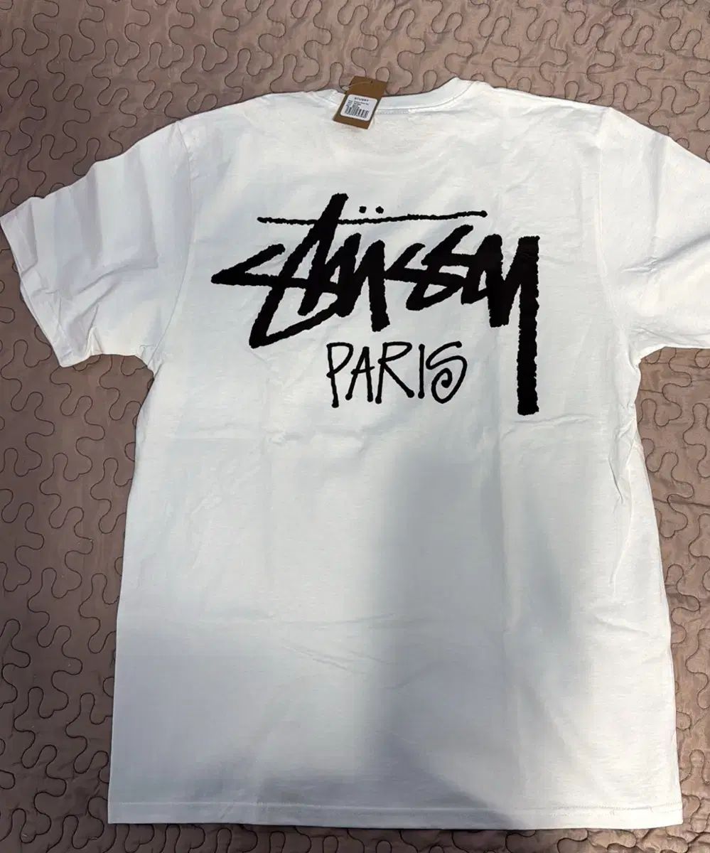 STUSSY パリ 半袖T M