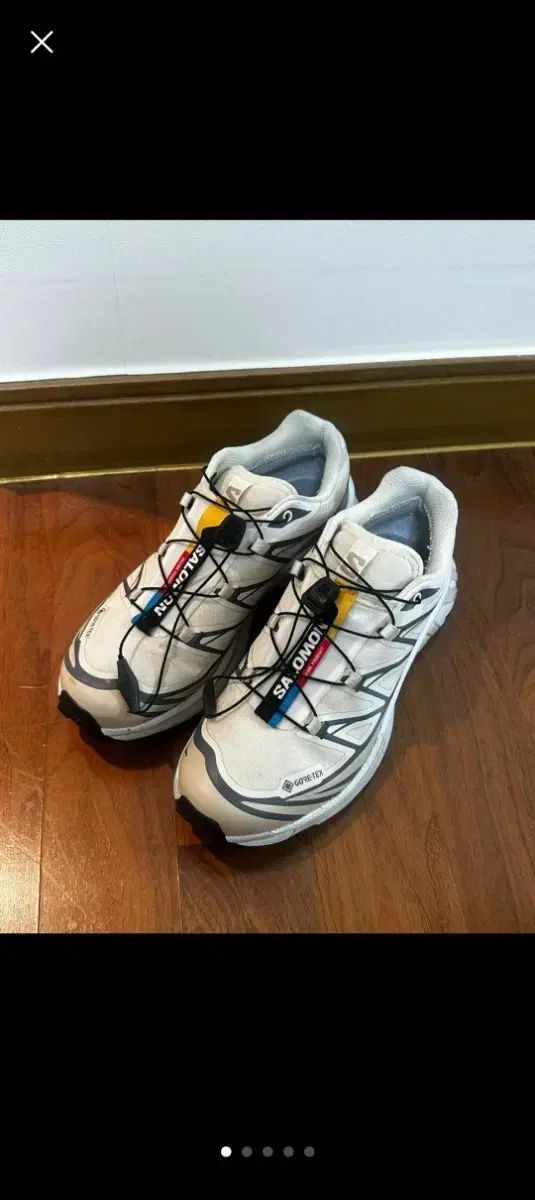 SALOMON サロモン XT-6 GTX アーモンド ミルク モブ 230