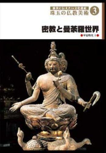 後世に伝えたい文化遺産 珠玉の仏教美術 3 密教と曼荼羅世界 [DVD]