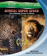 AFRICAS SUPER SEVEN アフリカの覇者達 [Blu-ray]