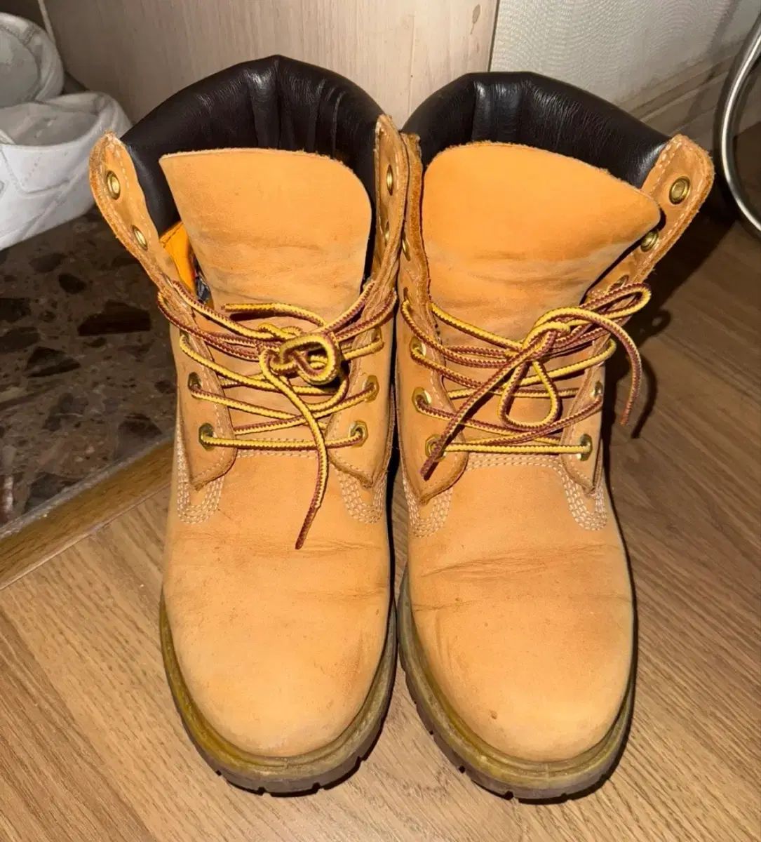 Timberland 6インチ 250