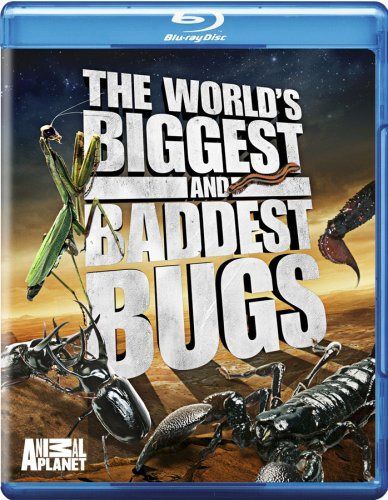 World's Biggest & Baddest Bugs [Blu-ray]