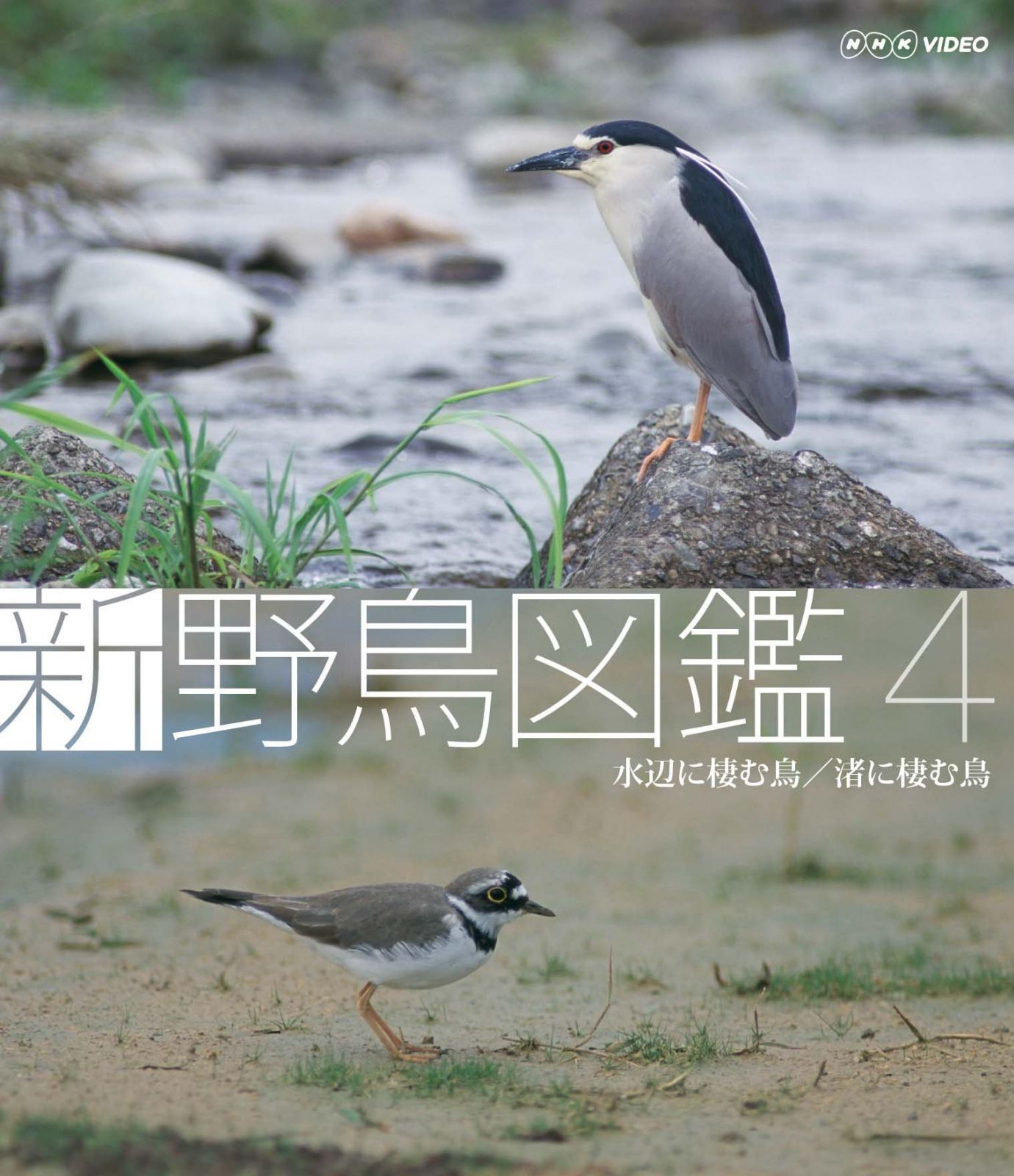 新 野鳥図鑑 第4集 水辺に棲む鳥/渚に棲む鳥