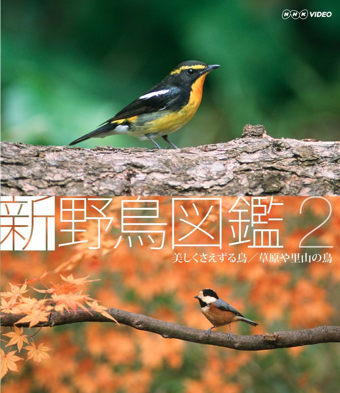 新 野鳥図鑑 第2集 美しくさえずる鳥/草原や里山の鳥