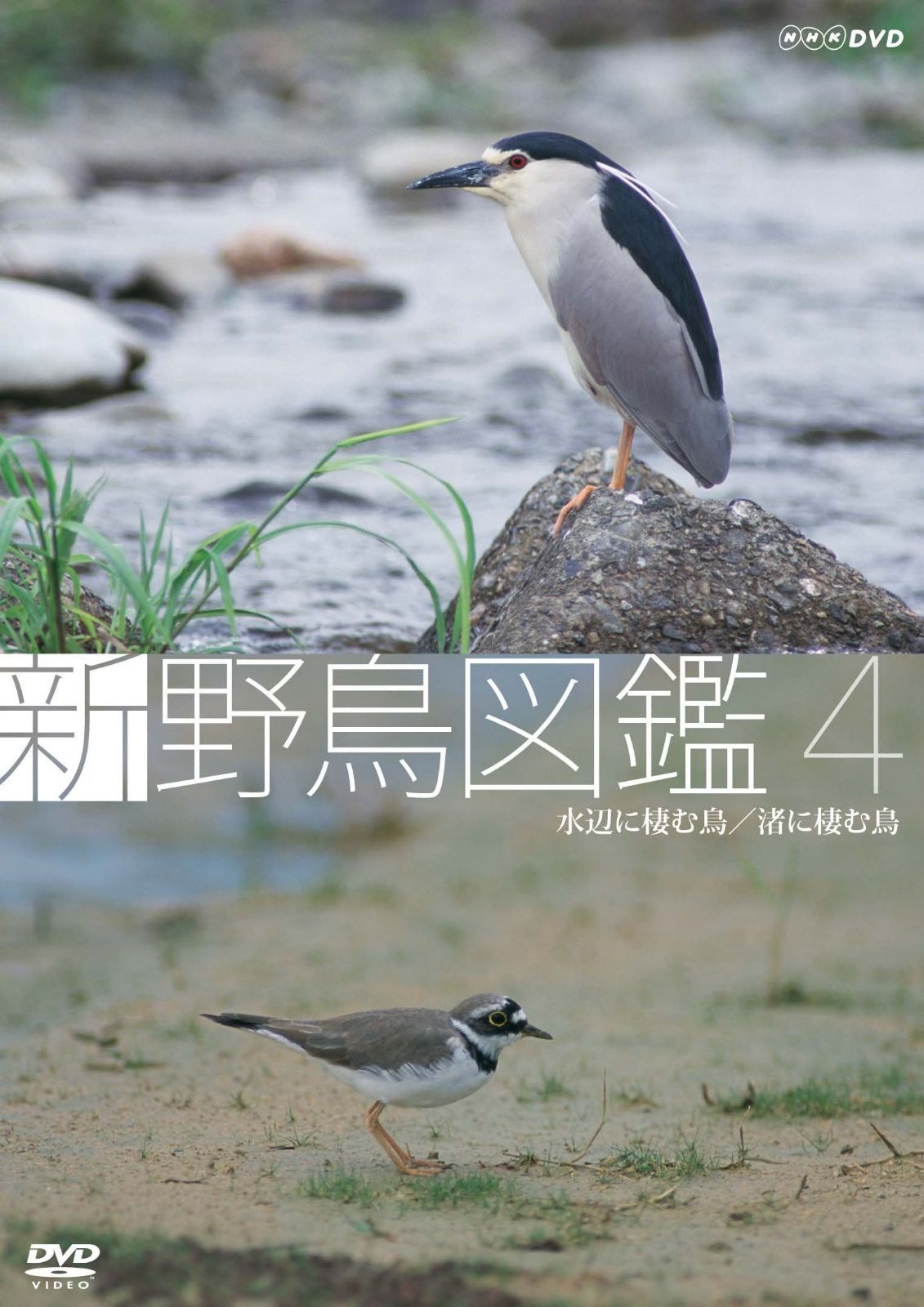 新 野鳥図鑑 第4集 水辺に棲む鳥/渚に棲む鳥 [DVD]