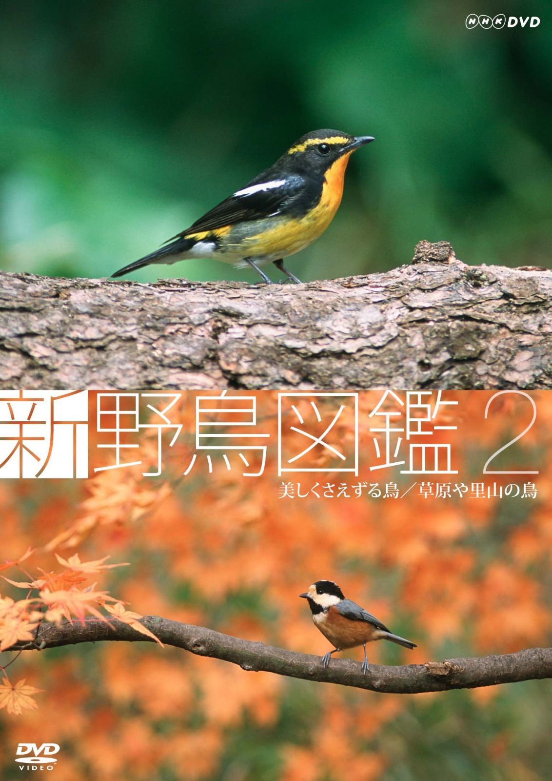 新 野鳥図鑑 第2集 美しくさえずる鳥/草原や里山の鳥 [DVD]