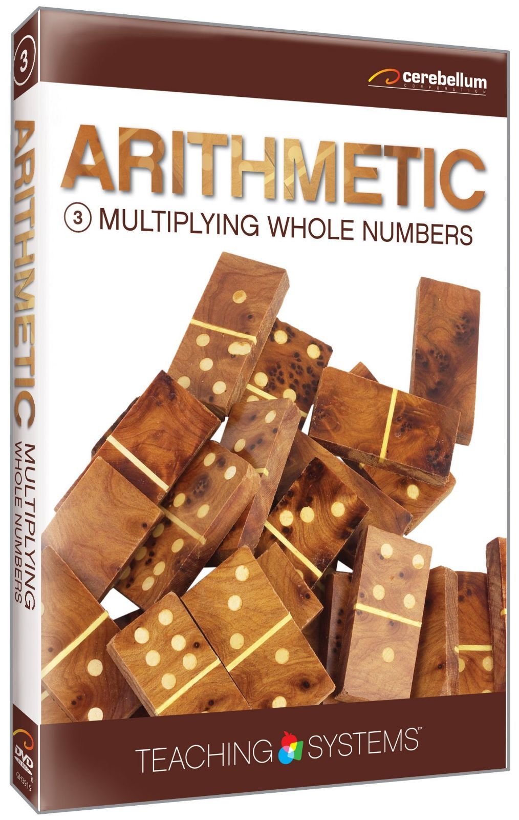 Arithmetic Module 3: Multiplying Integers [DVD]