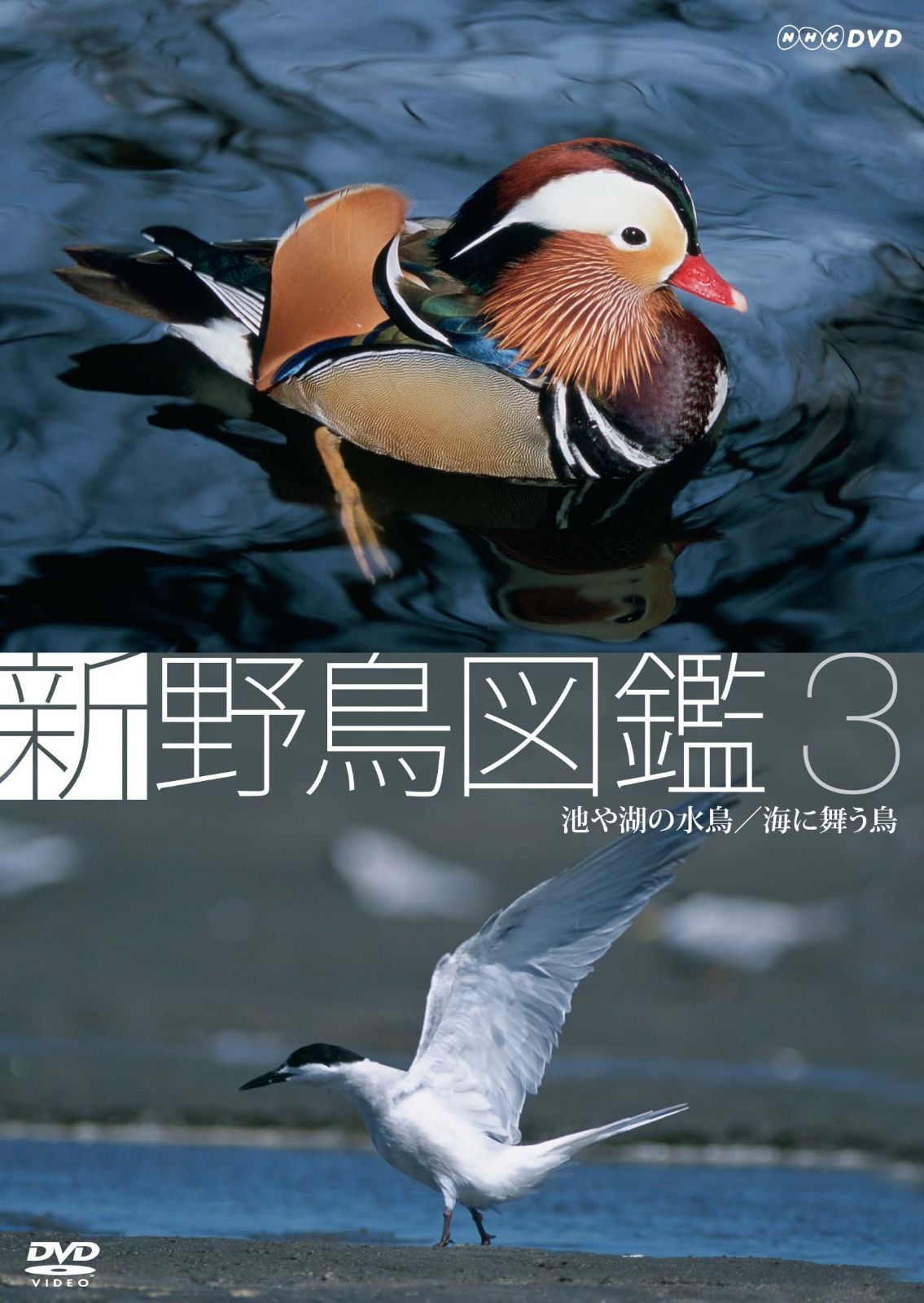 新 野鳥図鑑 第3集 池や湖の水鳥/海に舞う鳥 [DVD]