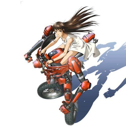 RIDEBACK 06 [DVD]