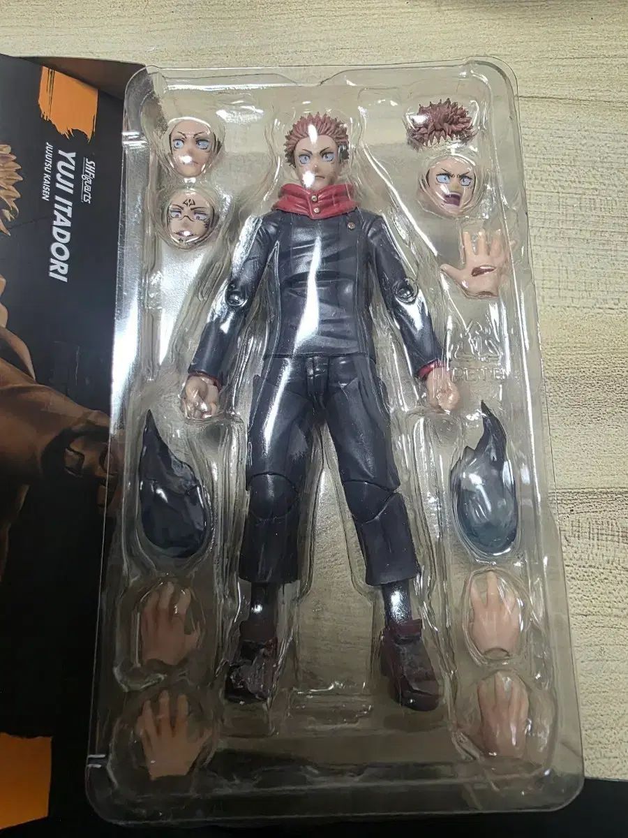 SHF 虎杖 出品